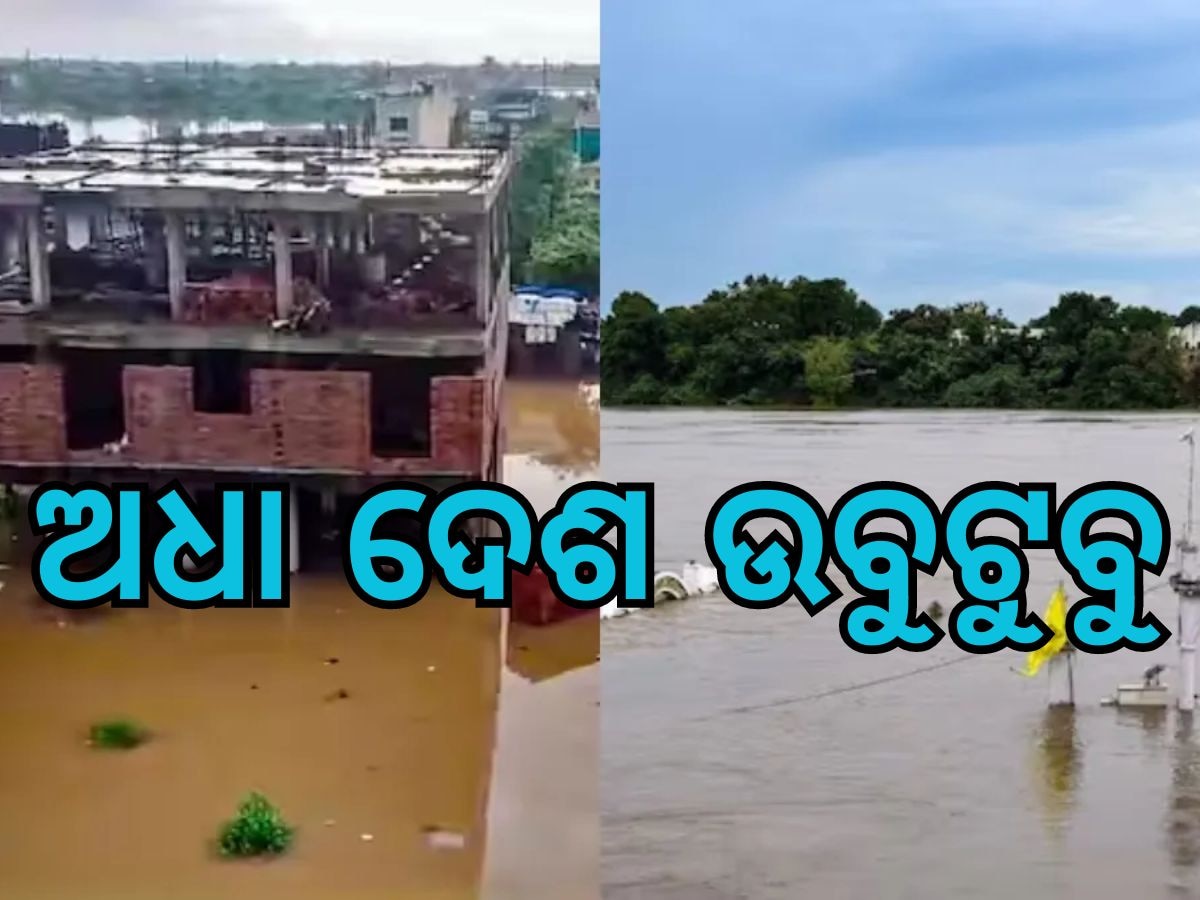 Flood Situation: ଦେଶସାରା ଜଳ ପ୍ରଳୟ, ୩୦୦ ଗାଁ ଜଳବନ୍ଦୀ... ୨୭୪ ସ୍କୁଲରେ ତାଲା, ପଢନ୍ତୁ ପୂରା ରିପୋର୍ଟ