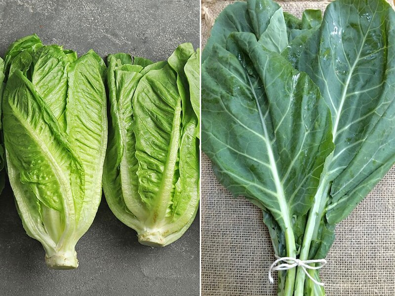 लेट्यूस और कोलार्ड ग्रीन्स