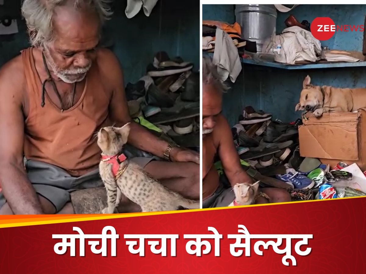 Video: मोची चचा की दुकान को देखते ही खुश हो जाएगा मन, हर कोई कहता है- अंकल तुस्सी ग्रेट हो