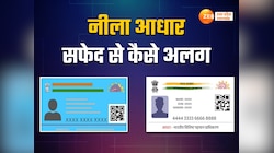 नीला आधार कार्ड भी बनाता है UIDAI, जानें नीला आधार सफेद से कैसे होता है अलग