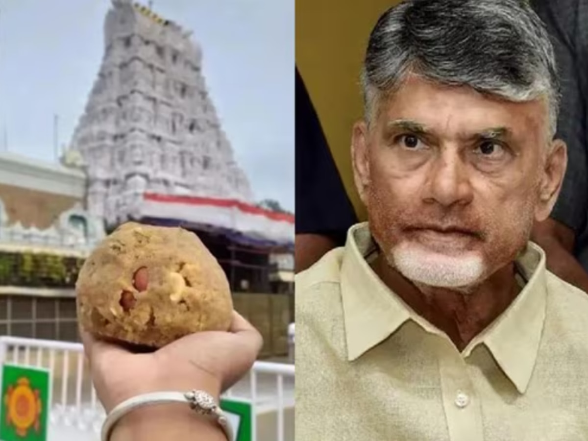 Tirupati laddu controversy