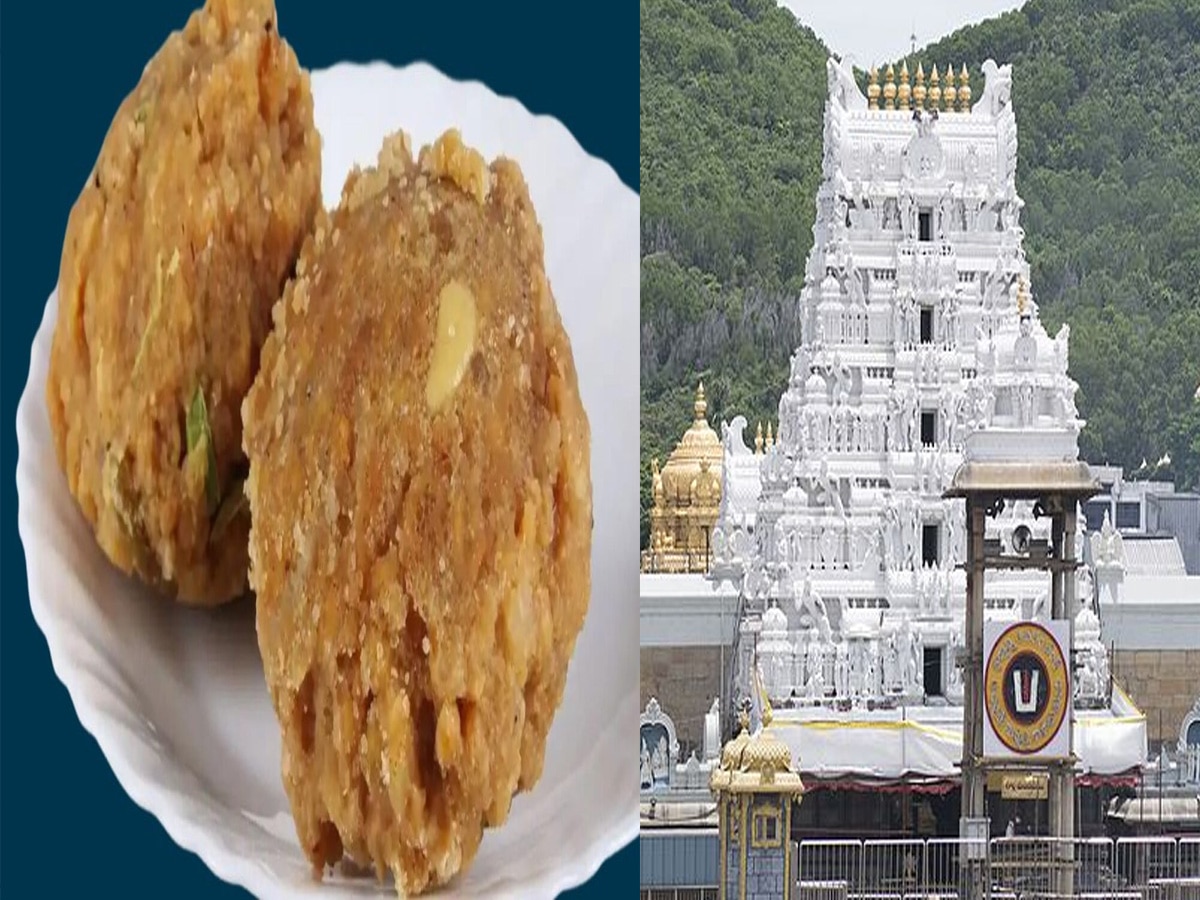 Tirupati laddus: बीफ चर्बी से बनाए जाते थे त्रुपति मंदिर में प्रसाद के लड्डू; दिखाई लैब रिपोर्ट