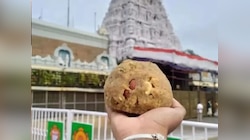 तिरुपति लड्डू में चर्बी! आखिर कैसे बनता है भगवान को चढ़ाया जाने वाला 'प्रसादम'?