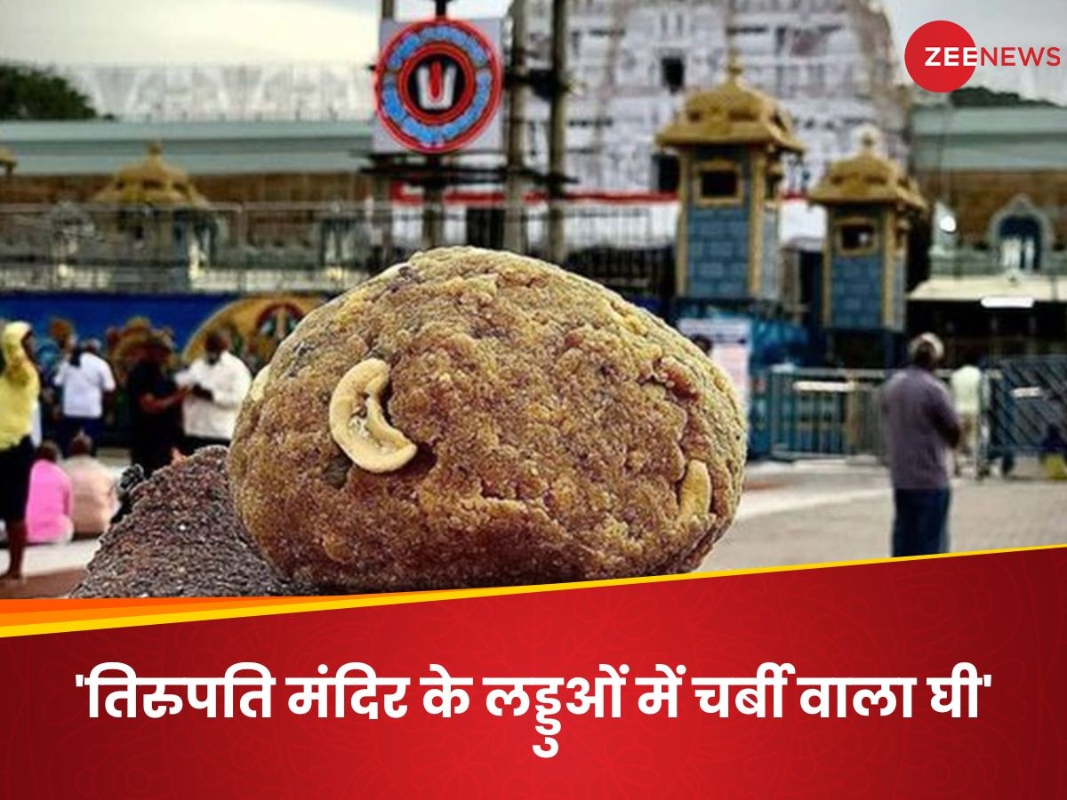 https://hindi.cdn.zeenews.com/hindi/sites/default/files/2024/09/20/3247885-tirupati-laddoo.jpg?im=FitAndFill=(1200,900)