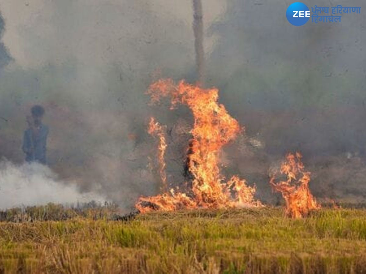 Stubble Burning Case: 15 ਤੋਂ 19 ਤਾਰੀਕ ਤੱਕ ਪਰਾਲੀ ਸਾੜਨ ਦੇ 18 ਮਾਮਲੇ ਆਏ ਸਾਹਮਣੇ! ਕਿਸਾਨਾਂ ਨੂੰ ਜੁਰਮਾਨਾ ਲਾਉਣ ਦੇ ਆਦੇਸ਼