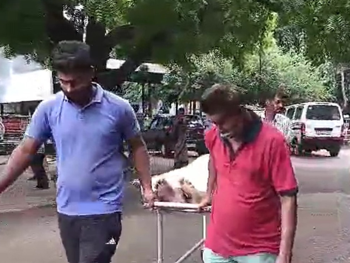 Alwar News: किथुर निवासी अमर सिंह यादव की करंट लगने से हुई मौत, अस्पताल लाते वक्त तोड़ा दम Alwar News: किथुर निवासी अमर सिंह यादव की करंट लगने से हुई मौत, अस्पताल लाते वक्त तोड़ा दम