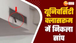 VIDEO: नोएडा की नामी यूनिवर्सिटी में लेक्चर के दौरान निकला सांप, मचा हड़कंप