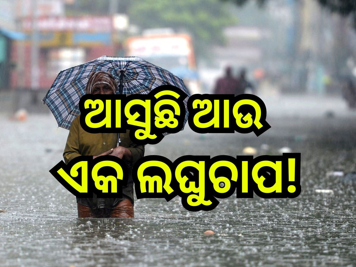 Weather Update: ଲଘୁଚାପ ଆଣିବ ବଡ଼ ବର୍ଷା, ବିଜୁଳି ଘଡ଼ଘଡି଼ ସହ ପ୍ରବଳ ବର୍ଷା ନେଇ ୧୧ ଜିଲ୍ଲାକୁ ଆଲର୍ଟ ଜାରି!