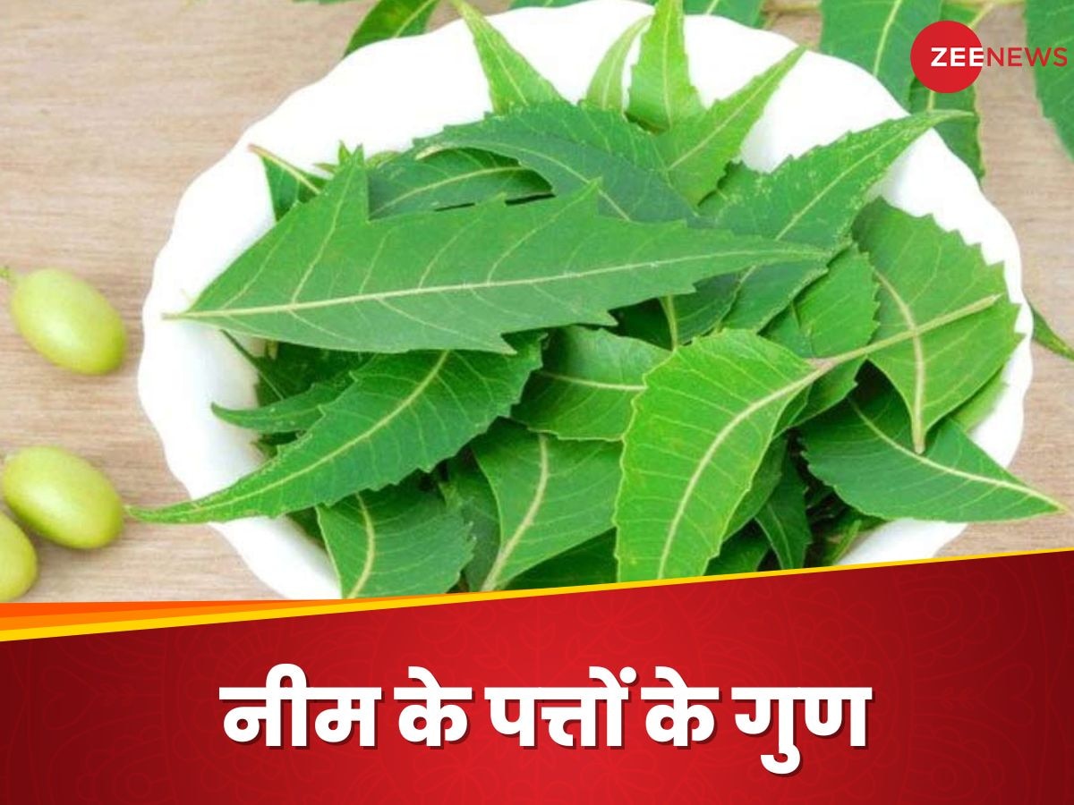 Neem: नीम के पत्तियों में मौजूद मिनरल्स दिलाएंगे एनीमिया से राहत, इस तरह करना होगा सेवन