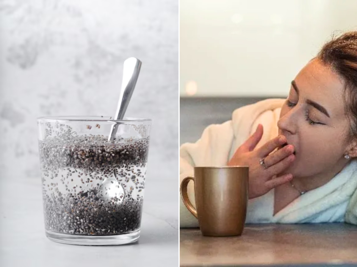 Chia Seeds: ज्यादातर लोगों को नहीं पता चिया सीड्स खाने का सही समय, चाहिए 100% फायदा तो इस टाइम पर खाएं