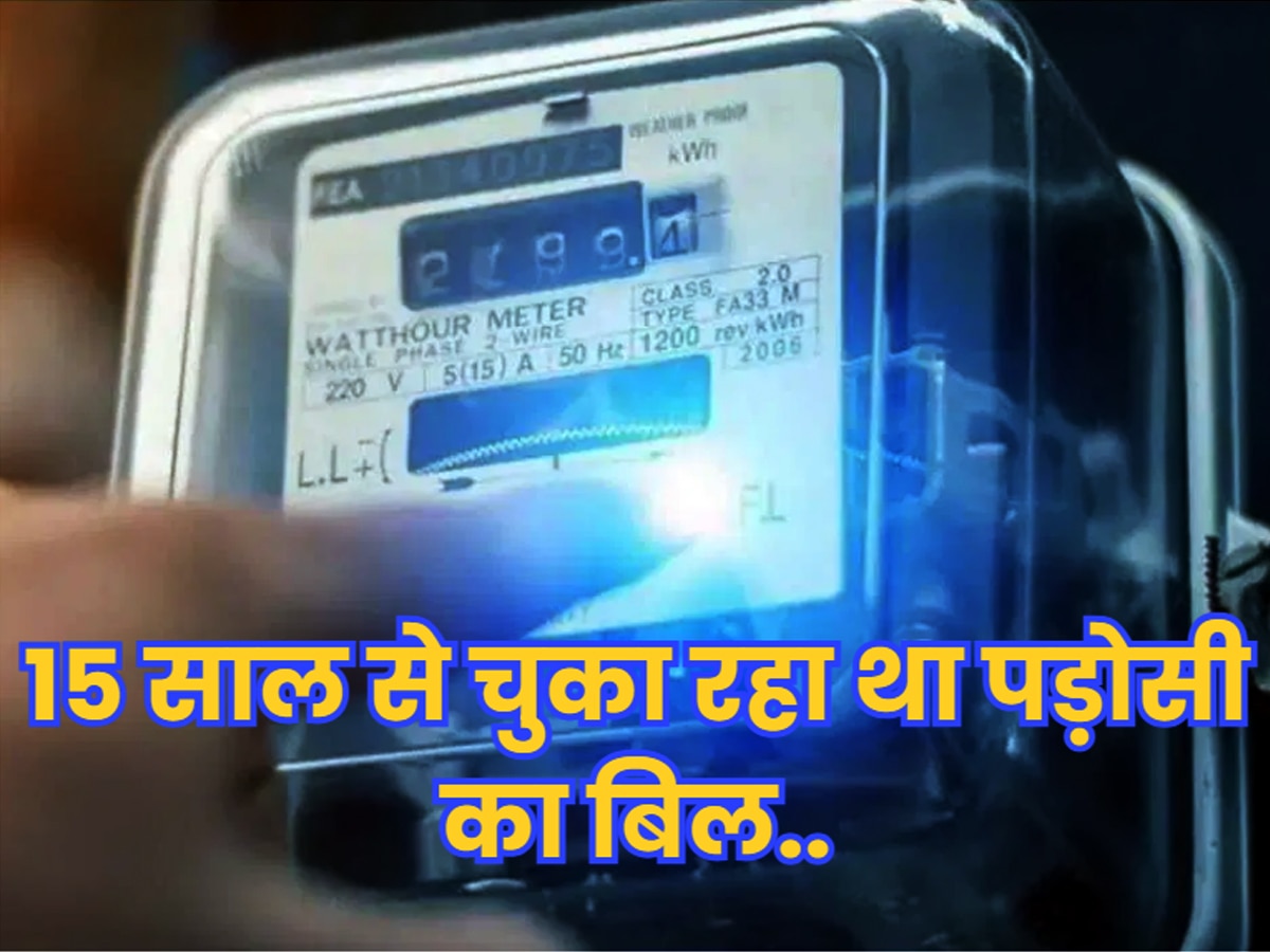 Electricity Bill: मूर्खता की हद! 15 साल तक पड़ोसी का बिल भरता रहा; खुलासा हुआ तो पीट लिया सिर