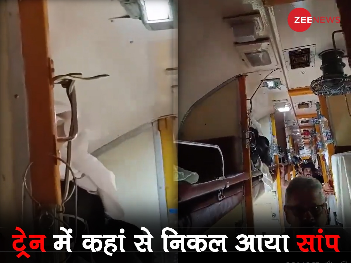 ट्रेन में मजे से सो रहा था यात्री, अचानक सीट पर सांप रेंगता हुआ आया और फिर; Video हुआ वायरल