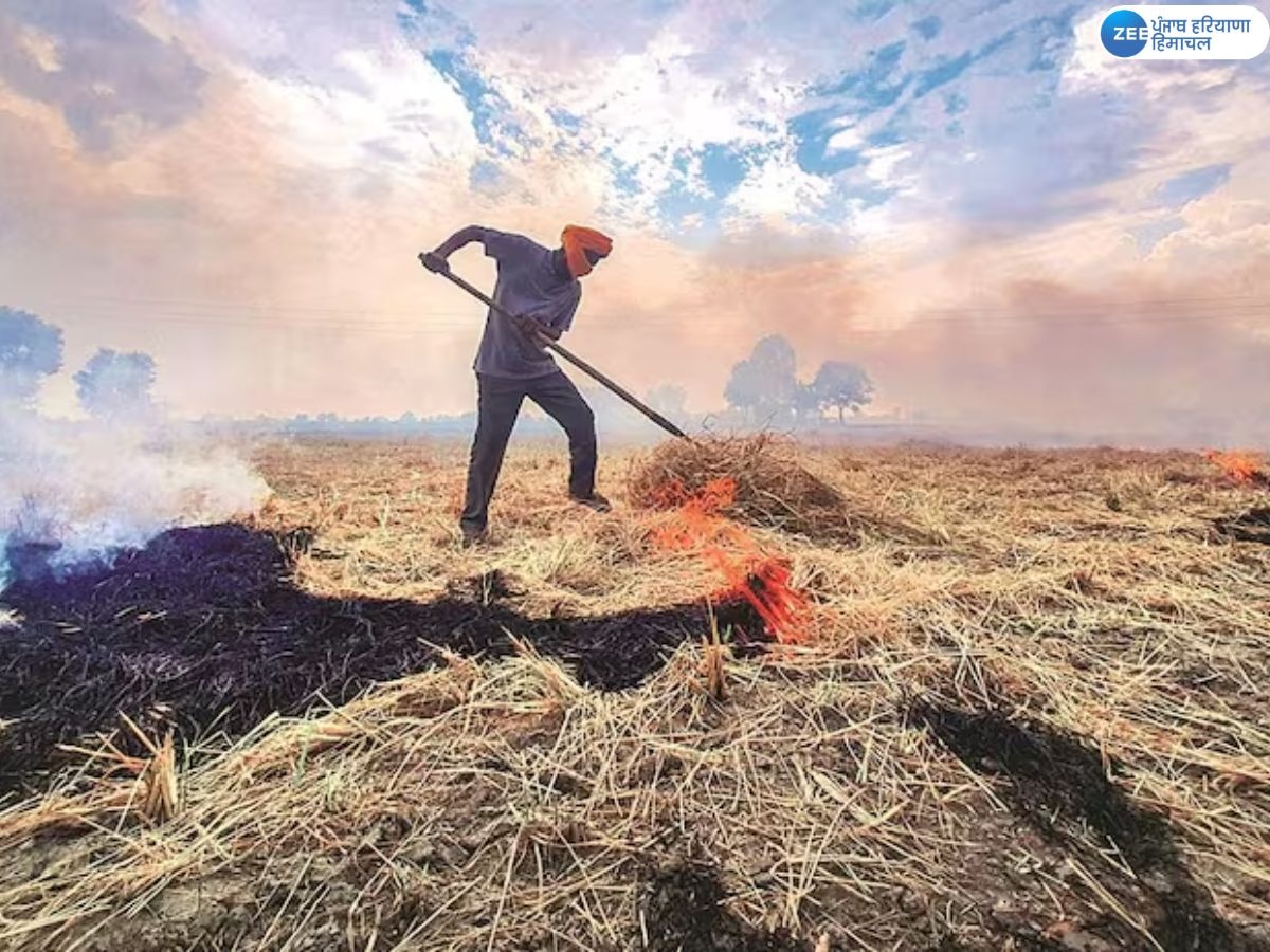 Stubble Burning Case: ਪਰਾਲੀ ਸਾੜਨ ਦੇ ਮਾਮਲੇ ਆਉਣ ਦਾ ਸਿਲਸਿਲਾ ਸ਼ੁਰੂ; ਪਿਛਲੇ ਸਾਲ ਦੇ ਮੁਕਾਬਲੇ ਆਏ ਵੱਧ ਕੇਸ