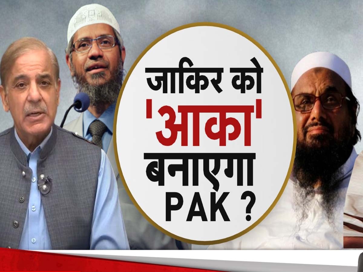 Zakir Naik News: जहरीला जाकिर नाईक अब PAK को देगा कट्टरपंथ का नया ज्ञान! हाफिज सईद और मसूद अजहर का क्या होगा