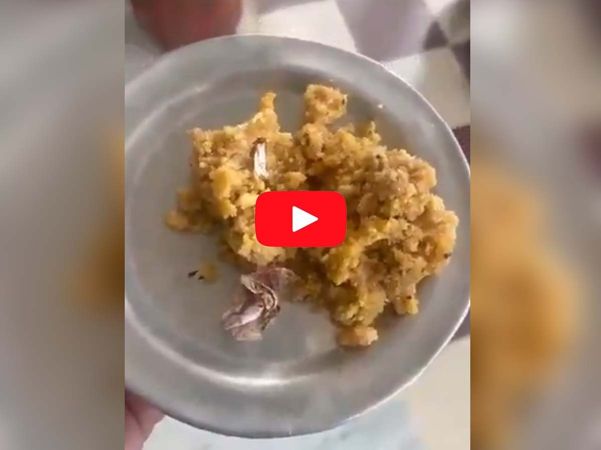  Viral Video: जानवर की चर्बी के बाद अब तंबाकू! तिरुपति प्रसाद पर भक्त का बड़ा दावा