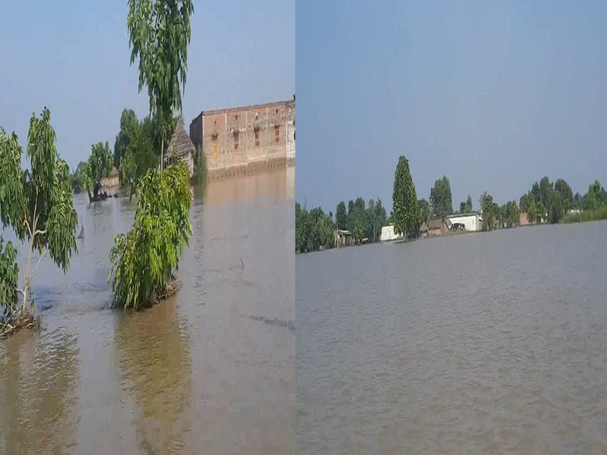 Bihar Flood: बिहार के बाढ़ में डूबे कई गांव, नाव पर ही डाला बसेरा, कोई प्राकृतिक आपदा या सरकारी आफत!