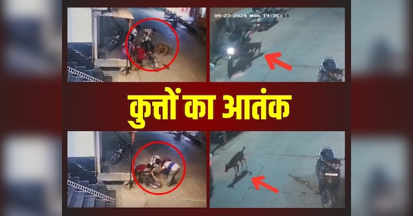 Dog terror in Banswara 10 people injured in 13 hours | Banswara में कुत्तों का आतंक, 13 घंटे में 10 लोगों को बनाया शिकार| Zee News Hindi