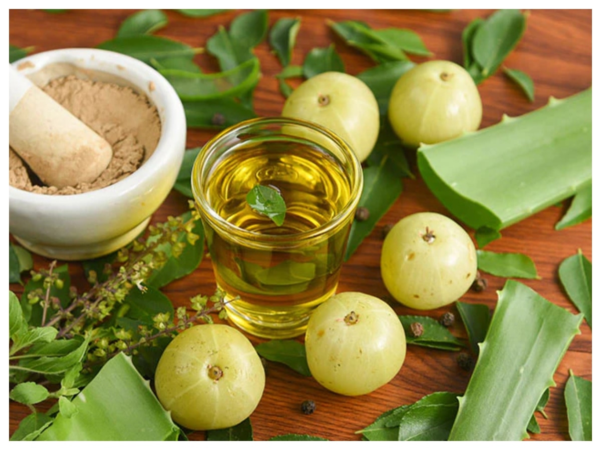 Amla Tel Ke Fayde Amla oil Benefits For Hair Growth Know How To Make it ...