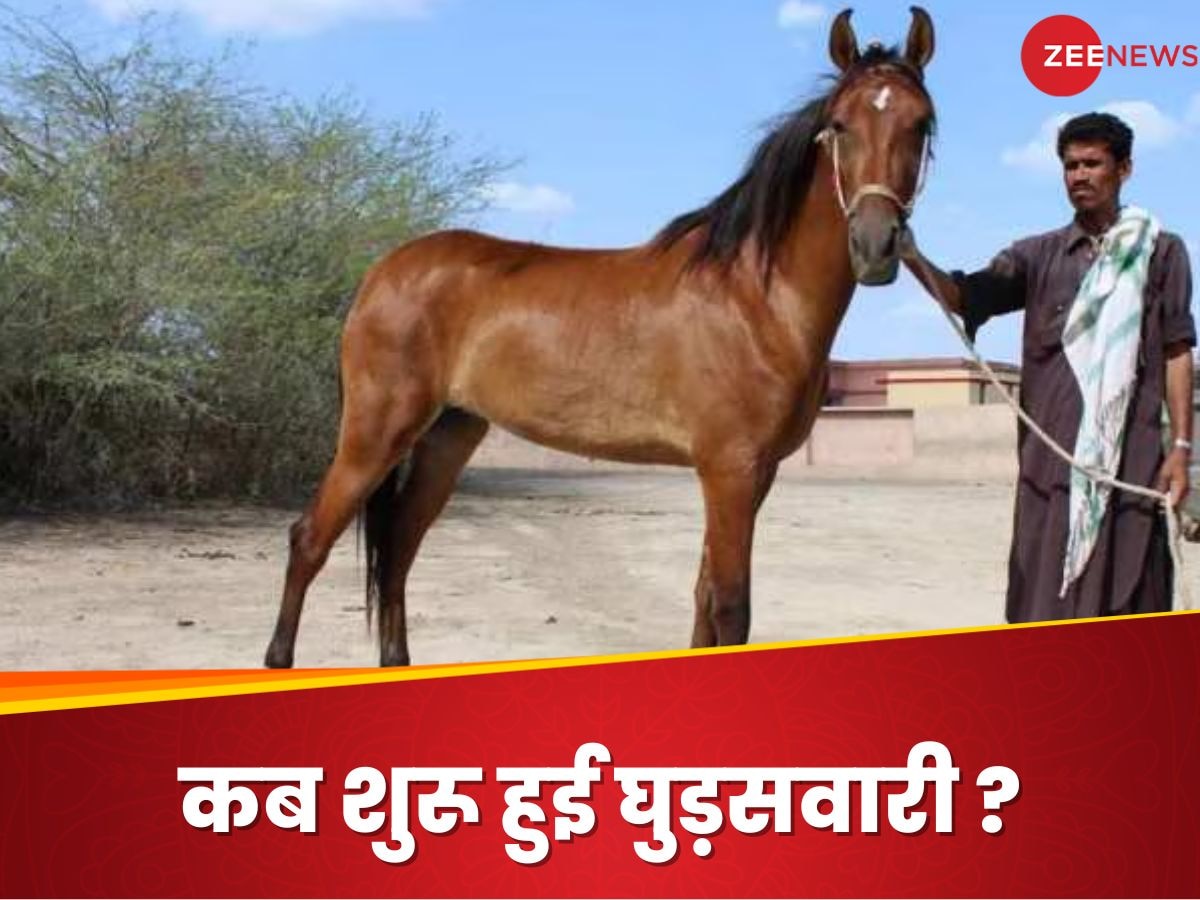 Horse Domestication: मनुष्य ने पहली बार कब की घोड़े की सवारी, कैसे बनाया था पालतू? नई स्टडी में चौंकाने वाले दावे