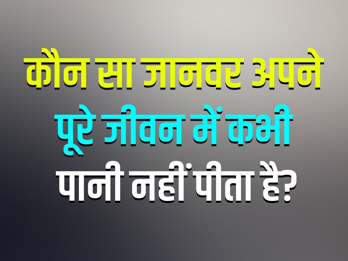 GK Quiz: कौन सा जानवर अपने पूरे जीवन में कभी पानी नहीं पीता है?