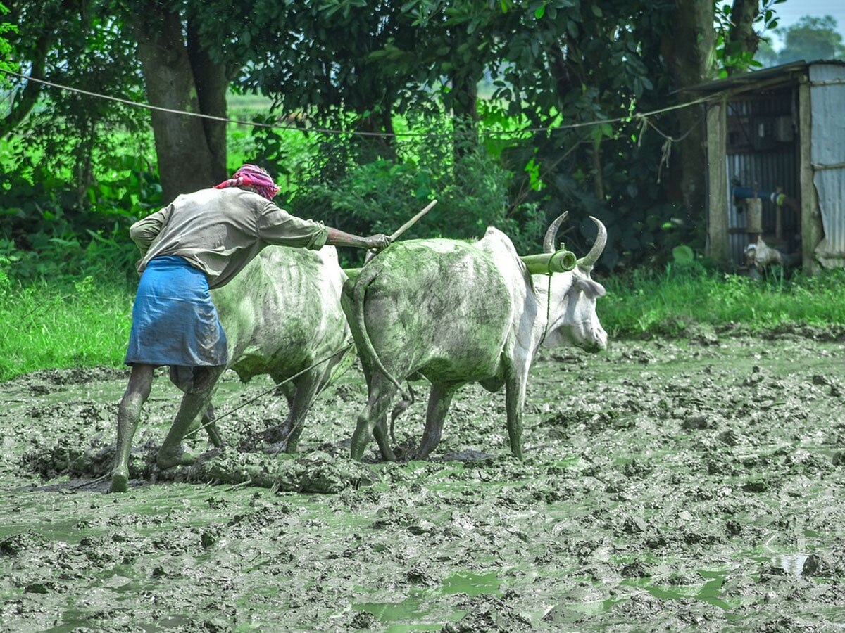 PM Kisan: करोड़ों क‍िसानों को म‍िलेगा नवरात्र‍ि का तोहफा, इस द‍िन खाते में आएंगे 2000 रुपये