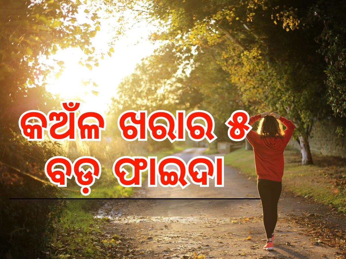 Morning Tips: ସକାଳ ଖରା ଆଣିଦେଇଥାଏ ଏହି ୫ ଫାଇଦା, ଯଦି ଶୋଇ ରହୁଥାଆନ୍ତି ତେବେ ହୋଇପାରେ ଏହି ସବୁ କ୍ଷତି...