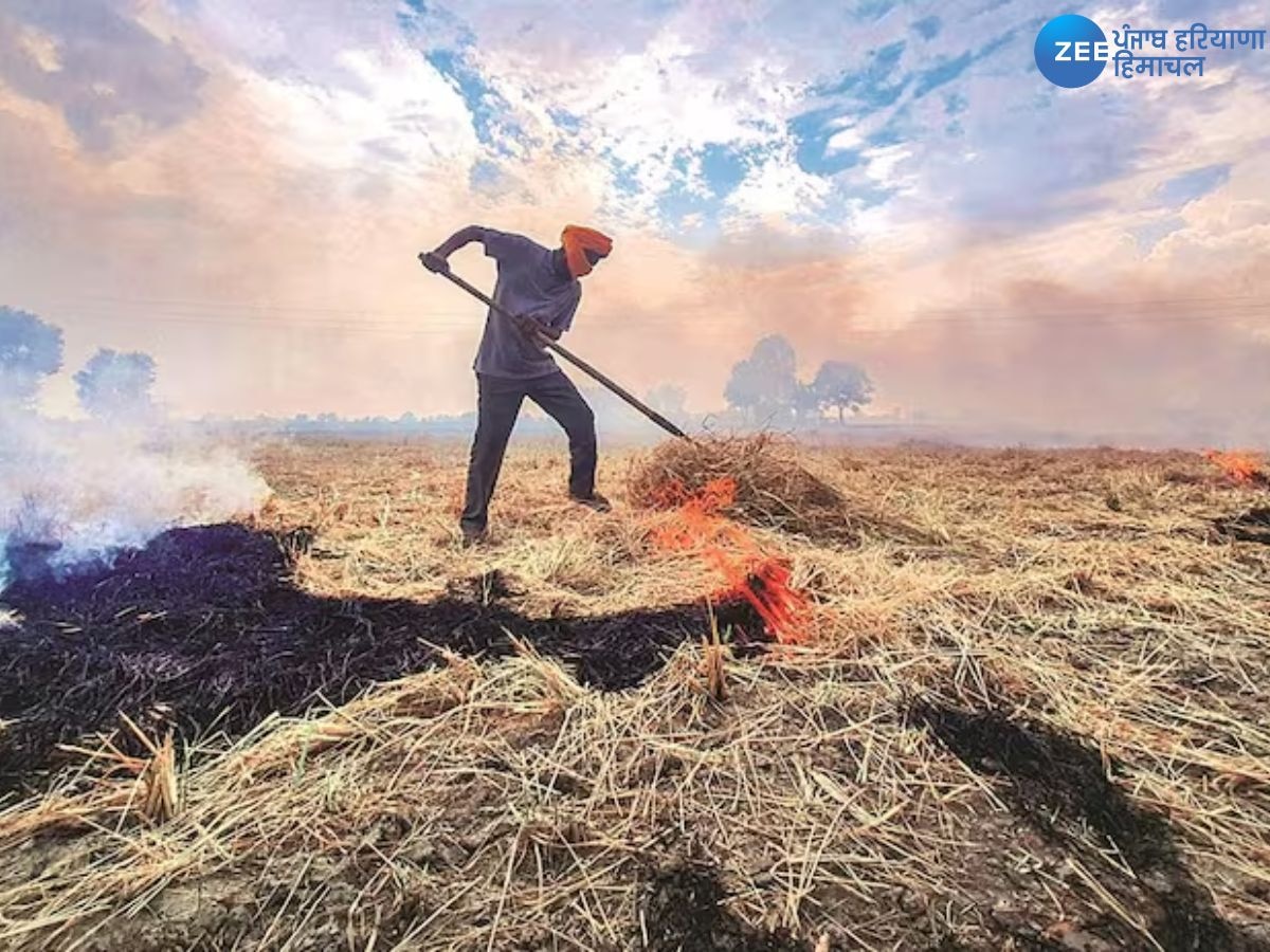 Stubble Burning Incidents: ਪੰਜਾਬ ਵਿੱਚ 15 ਸਤੰਬਰ ਤੋਂ 25 ਸਤੰਬਰ ਤੱਕ ਪਰਾਲੀ ਸਾੜਨ ਦੀਆਂ 93 ਘਟਨਾਵਾਂ ਸਾਹਮਣੇ ਆਈਆਂ