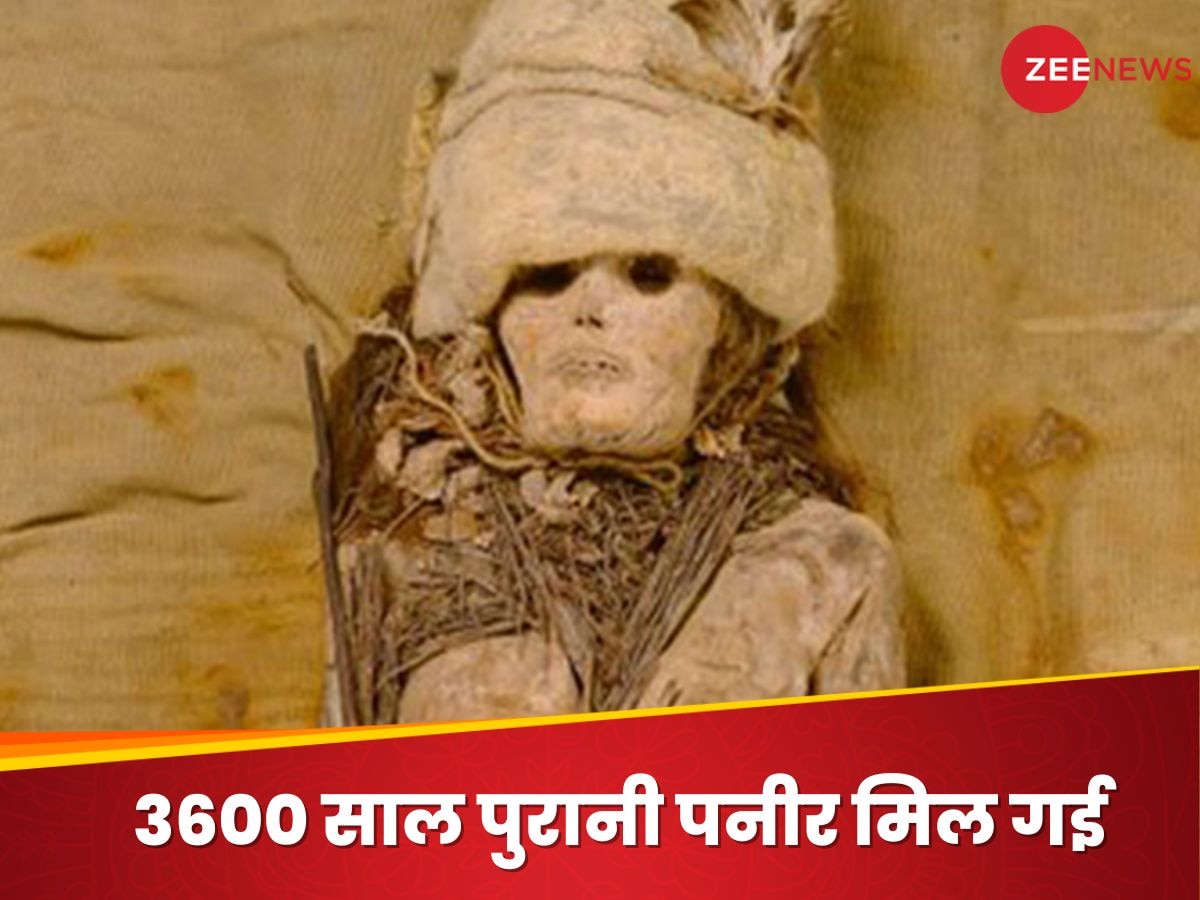 3600 साल पुरानी डेड बॉडी के ऊपर मिली दुनिया की सबसे पुरानी पनीर, लैब में अजीब खुलासा.. चीन के वैज्ञानिकों का कारनामा