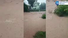 Patiala Ki Rao River: ਪਟਿਆਲਾ ਕੀ ਰਾਓ ਨਦੀ ਮੀਂਹ ਕਾਰਨ ਆਈ ਉਫਾਨ 'ਤੇ! 