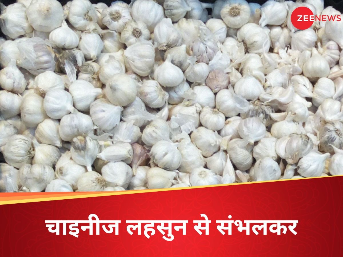 Chinese Garlic: चीनी लहसुन तो नहीं खरीद रहे आप? इलाहाबाद हाई कोर्ट ने पूछा, बैन है तो मिल कैसे रहा