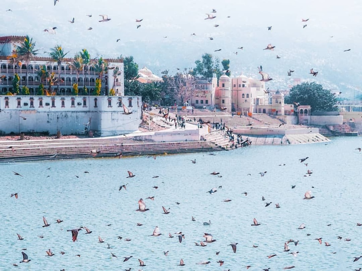 Best places to visit in rajasthan Pushkar Ghat Ajmer with partner ke sath  ghumne ki jagah | अजमेर से महज 14 किमी दूर स्थित है ये खूबसूरत जगह,  टूरिस्टों की है पहली