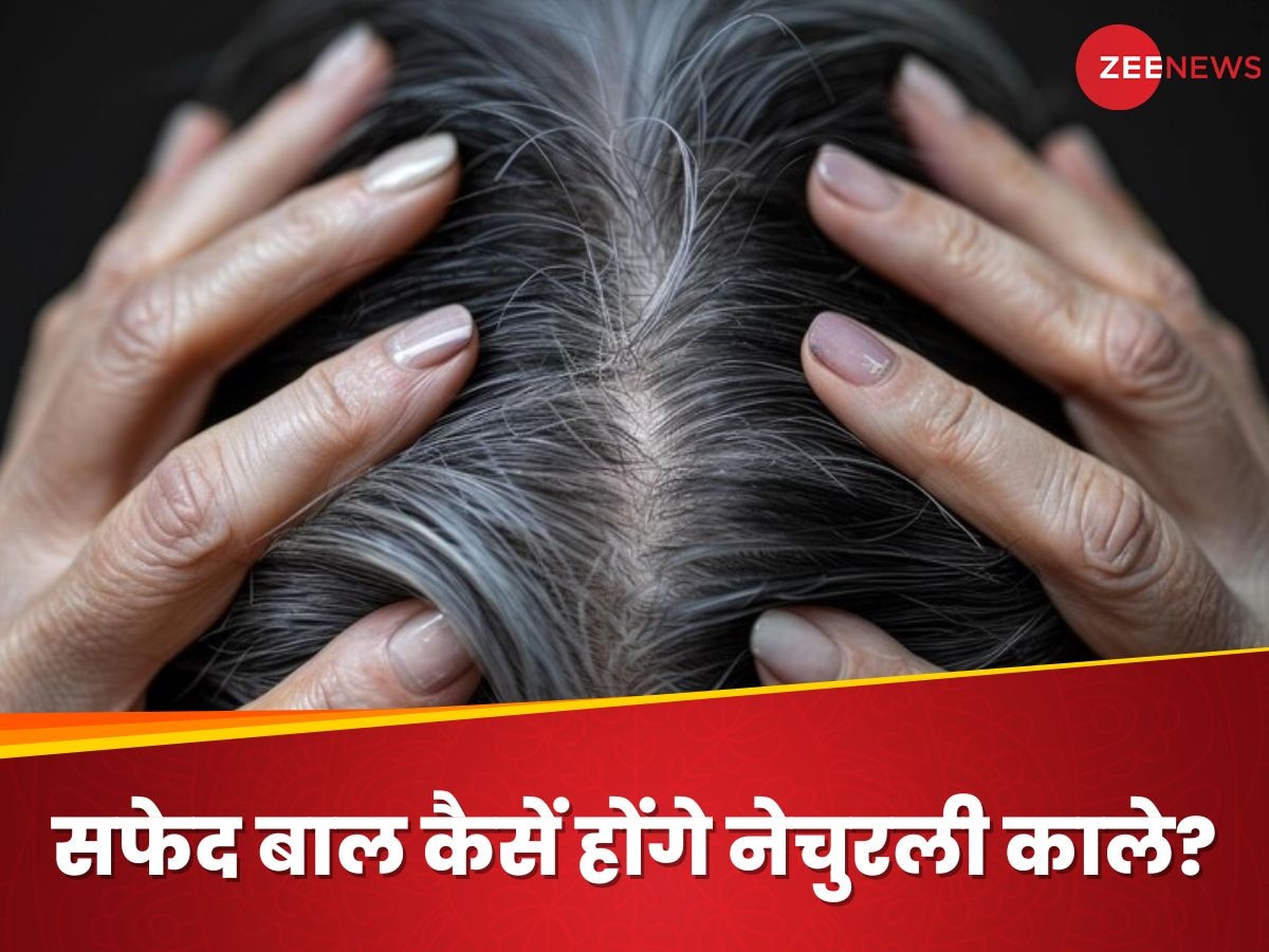 Omega-3 Fatty Acids से सफेद बालों में वापस आएगा कालापन, इन बीजों से दूर करें White Hair