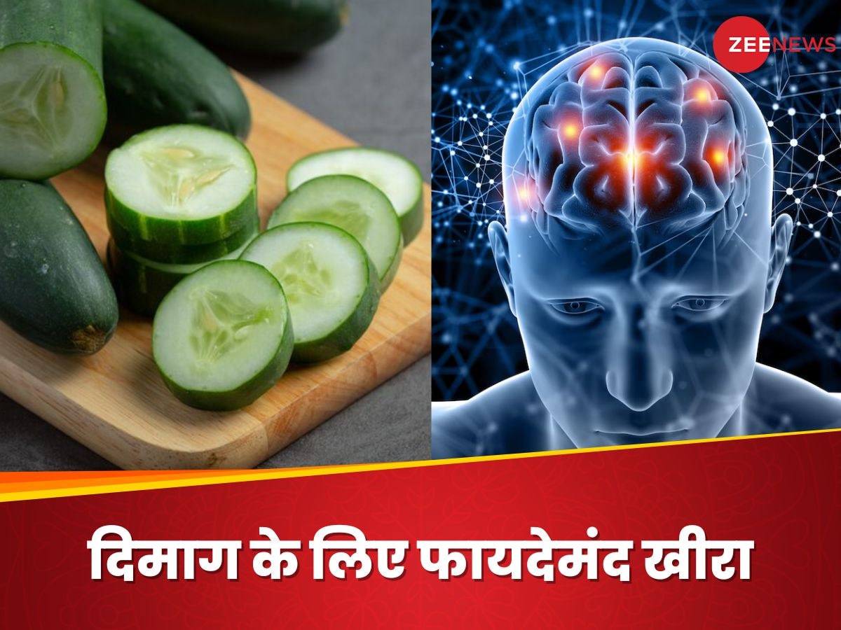 खीरे खाने से दिमाग क्यों होता है तेज, बरसों पुरानी बातें भी रहती हैं जेहन में ताजा