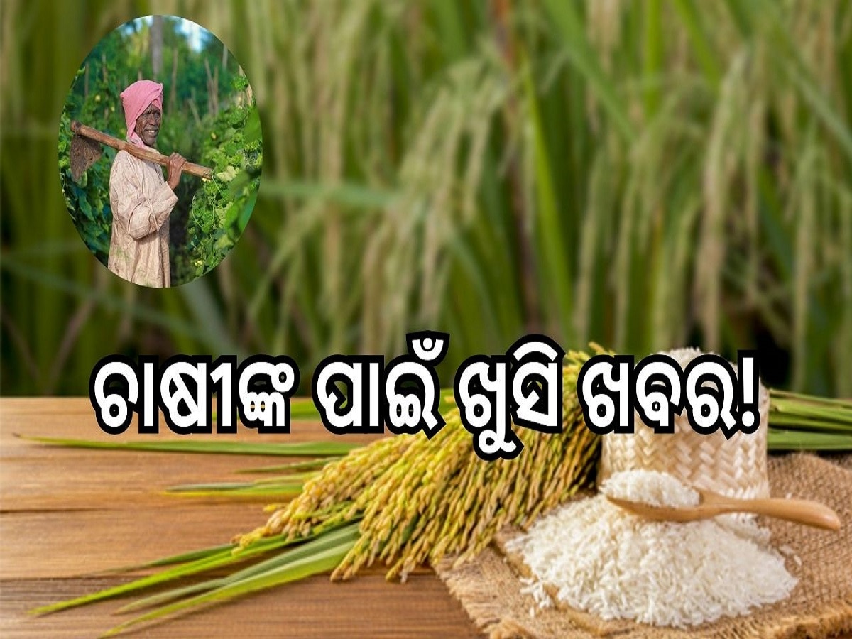 Rice export ban: ଚାଷୀଙ୍କୁ ଖୁସି ଖବର ଦେଲା କେନ୍ଦ୍ର, ଅଣ-ବାସମତି ଧଳା ଚାଉଳ ରପ୍ତାନି ଉପରେ କଷ୍ଟମ୍ସ ଶୁଳ୍କ ରଦ୍ଦ 