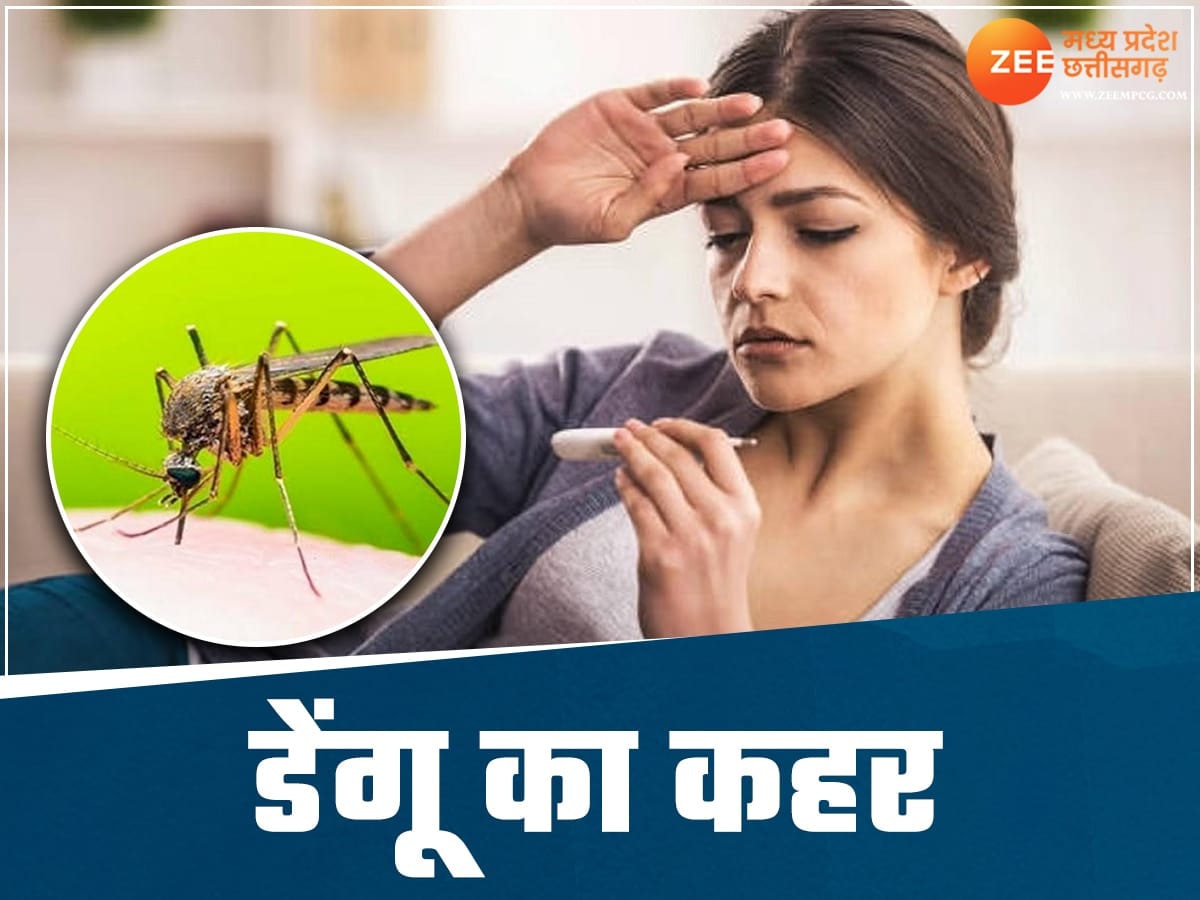 Dengue Cases increasing in Bhopal