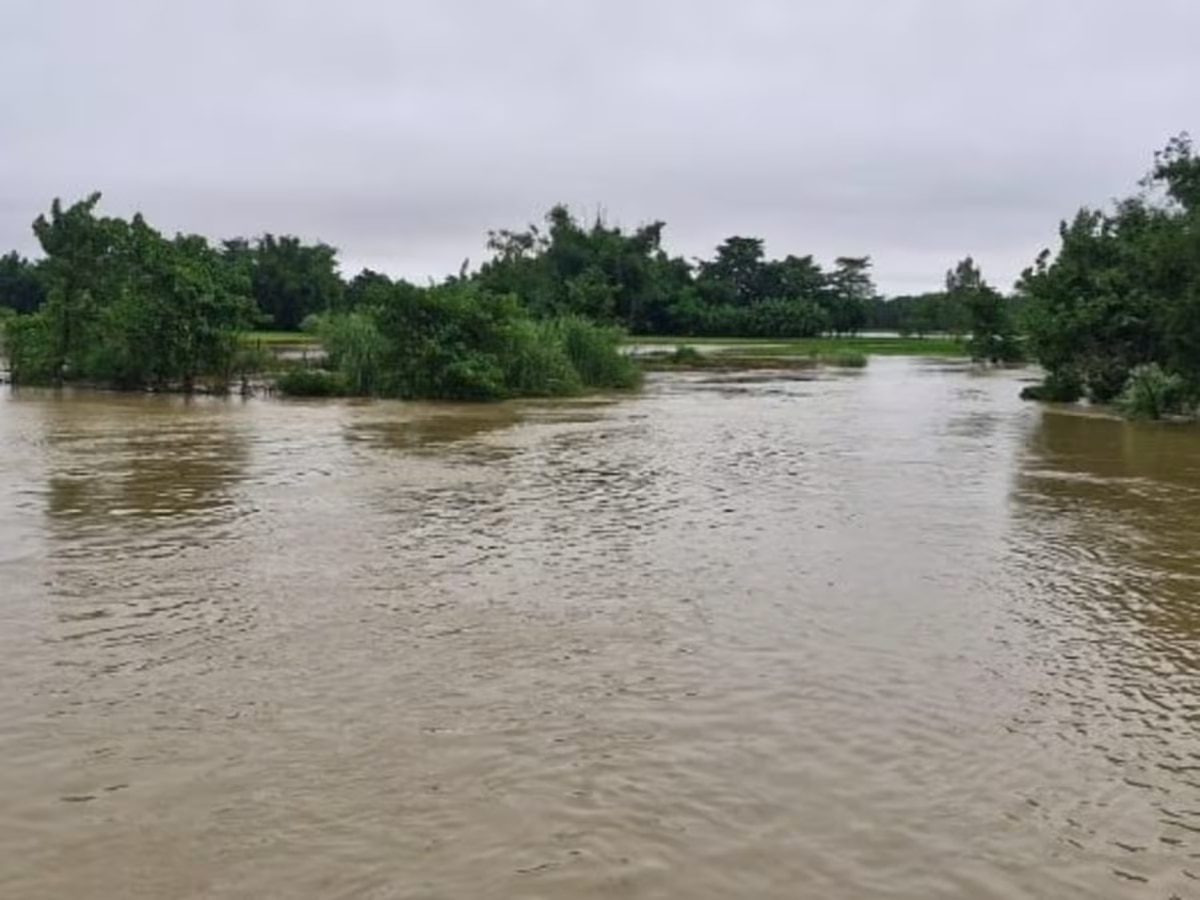 बिहार में बाढ़