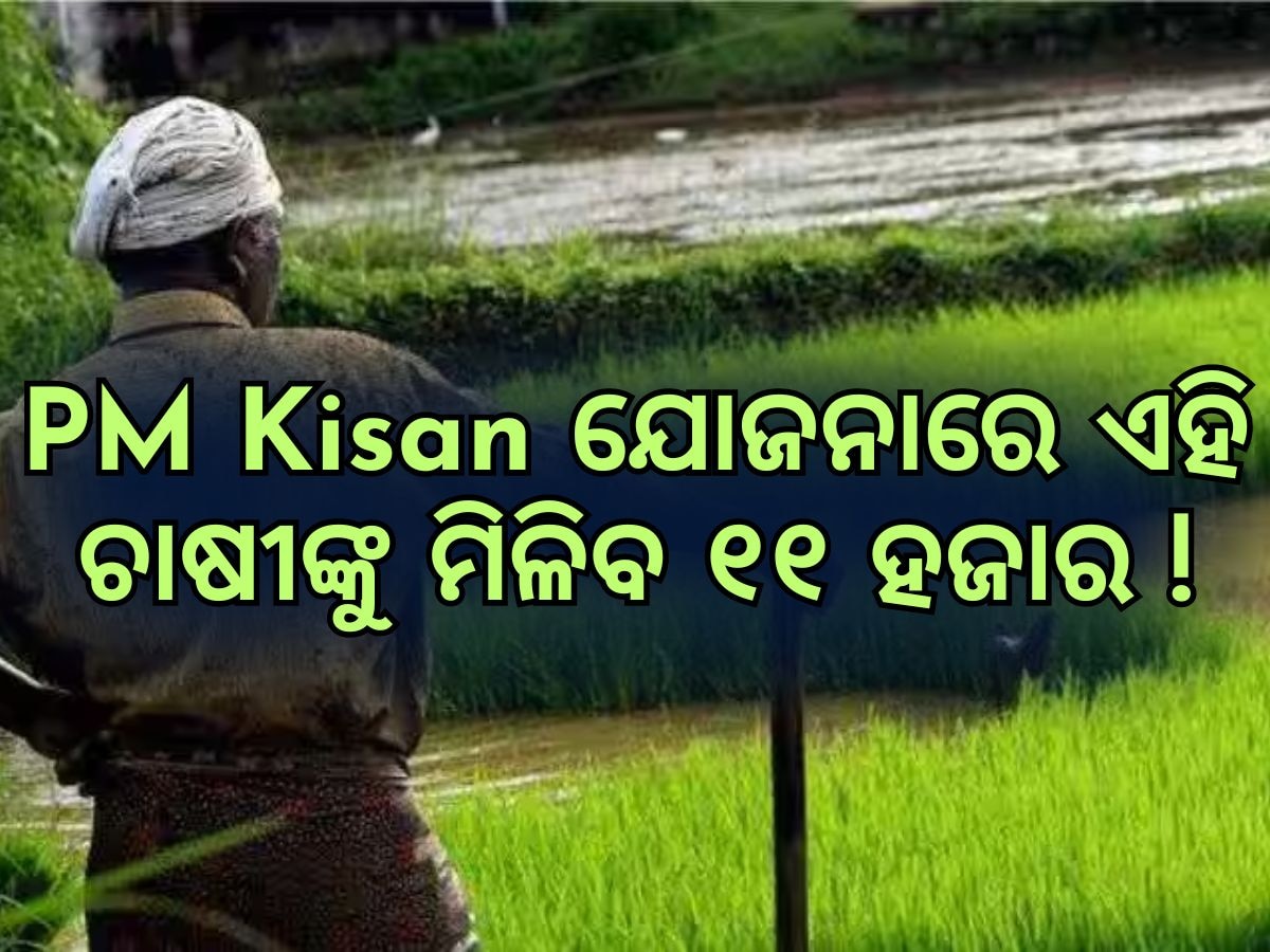 PM Kisan: ଚାଷୀମାନଙ୍କ ପାଇଁ ଖୁସି ଖବର, ପିଏମ କିସାନ ଯୋଜନାରେ ମିଳିବ ଅଧିକ ୫ ହଜାର ଟଙ୍କା, ହେଲେ କିପରି ପଢନ୍ତୁ ପୂରା ରିପୋର୍ଟ