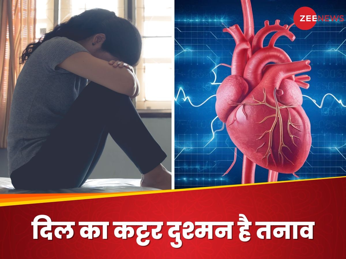 Heart Health: तनाव दे सकता है आपके दिल को धोखा, कार्डियोलॉजिस्ट ने बताए हार्ट डिजीज से बचने के अचूक उपाय