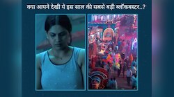 2024 की सबसे बड़ी ब्लॉकबस्टर.. 60 करोड़ में कमाए 800 करोड़; अब OTT पर उड़ा रही गर्दा