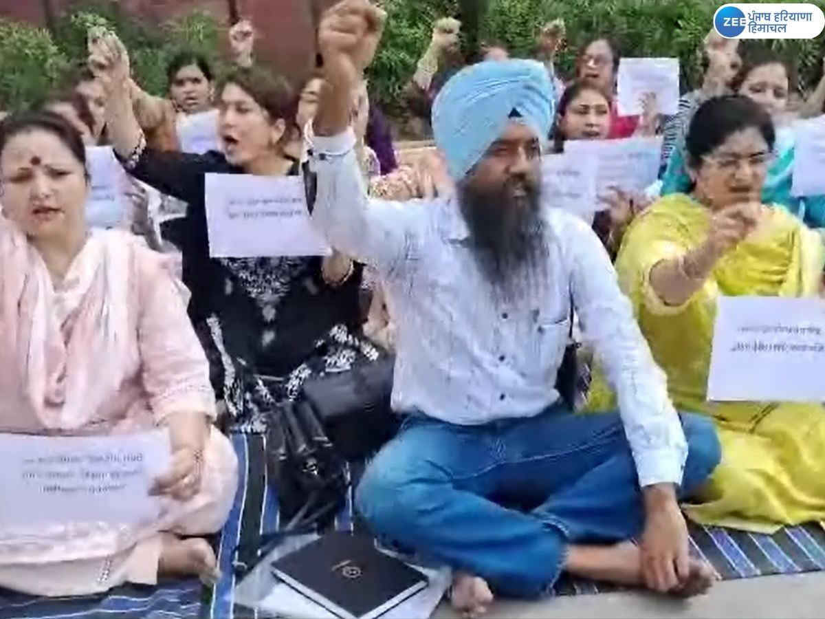 Guest Faculty Protest: ਗੈਸਟ ਫੈਕਲਟੀ ਪ੍ਰੋਫੈਸਰਾਂ ਨੇ ਕੀਤਾ ਰੋਸ ਪ੍ਰਦਰਸ਼ਨ; ਸੰਘਰਸ਼ ਨੂੰ ਹੋਰ ਤੇਜ਼ ਕਰਨ ਦੀ ਦਿੱਤੀ ਚਿਤਾਵਨੀ