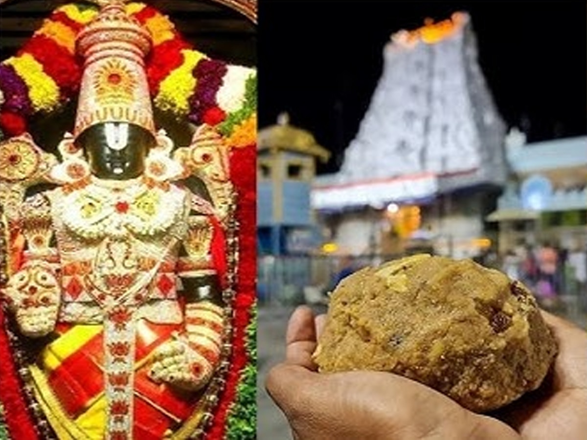 Tirupati Laddu Row: क्या वाकई दूषित घी का लड्डू प्रसाद में इस्तेमाल हुआ.. जानिए SC के लिखित आदेश में क्या है?