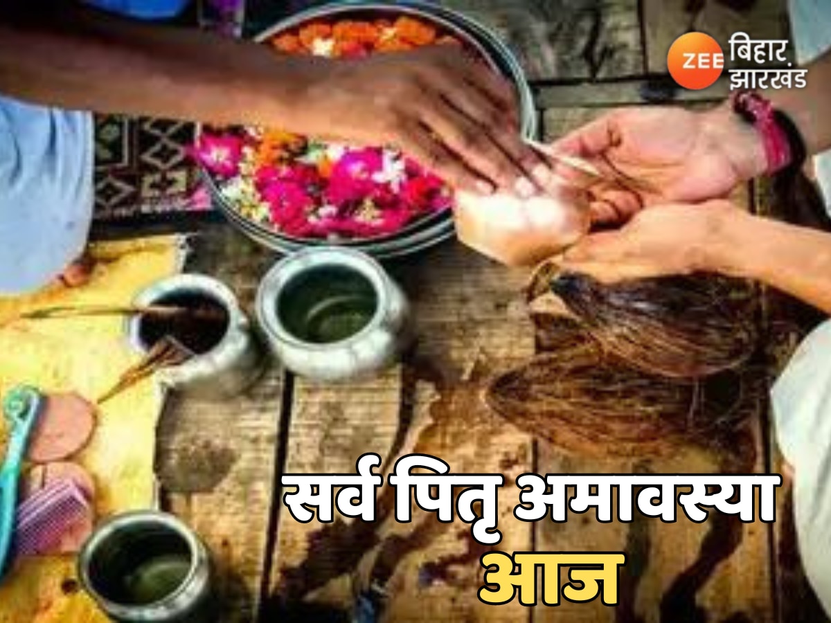 Sarva Pitru Amavasya 2024: सर्व पितृ अमावस्या पर आज करें ये 2 खास उपाय, मिलेगी पितृदोष से मुक्ति