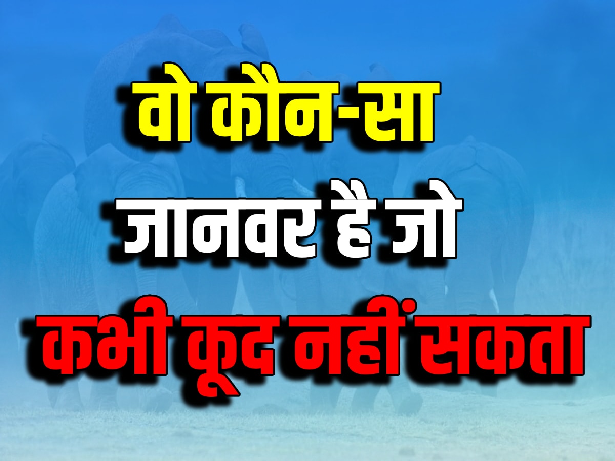 Interesting GK: वो कौन-सा जानवर है, जो कभी भी कूद नहीं सकता?