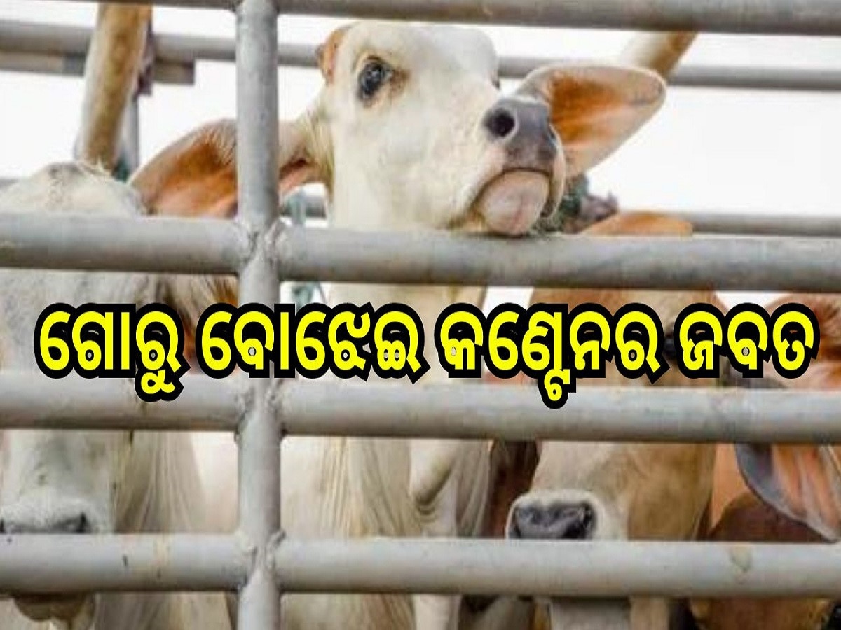 Odisha News: ଗୋରୁ ବୋଝେଇ କଣ୍ଟେନର ଜବତ, ପୋଲିସକୁ ପୋଲିସକୁ ଜିମା ଦେଲେ ଗ୍ରାମବାସୀ