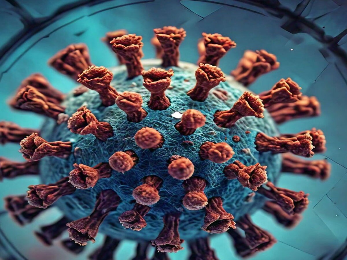 Preventive measures for Scrub Typhus Virus