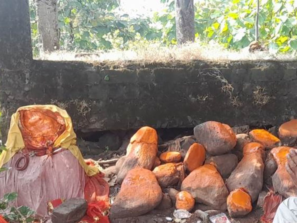 घना जंगल