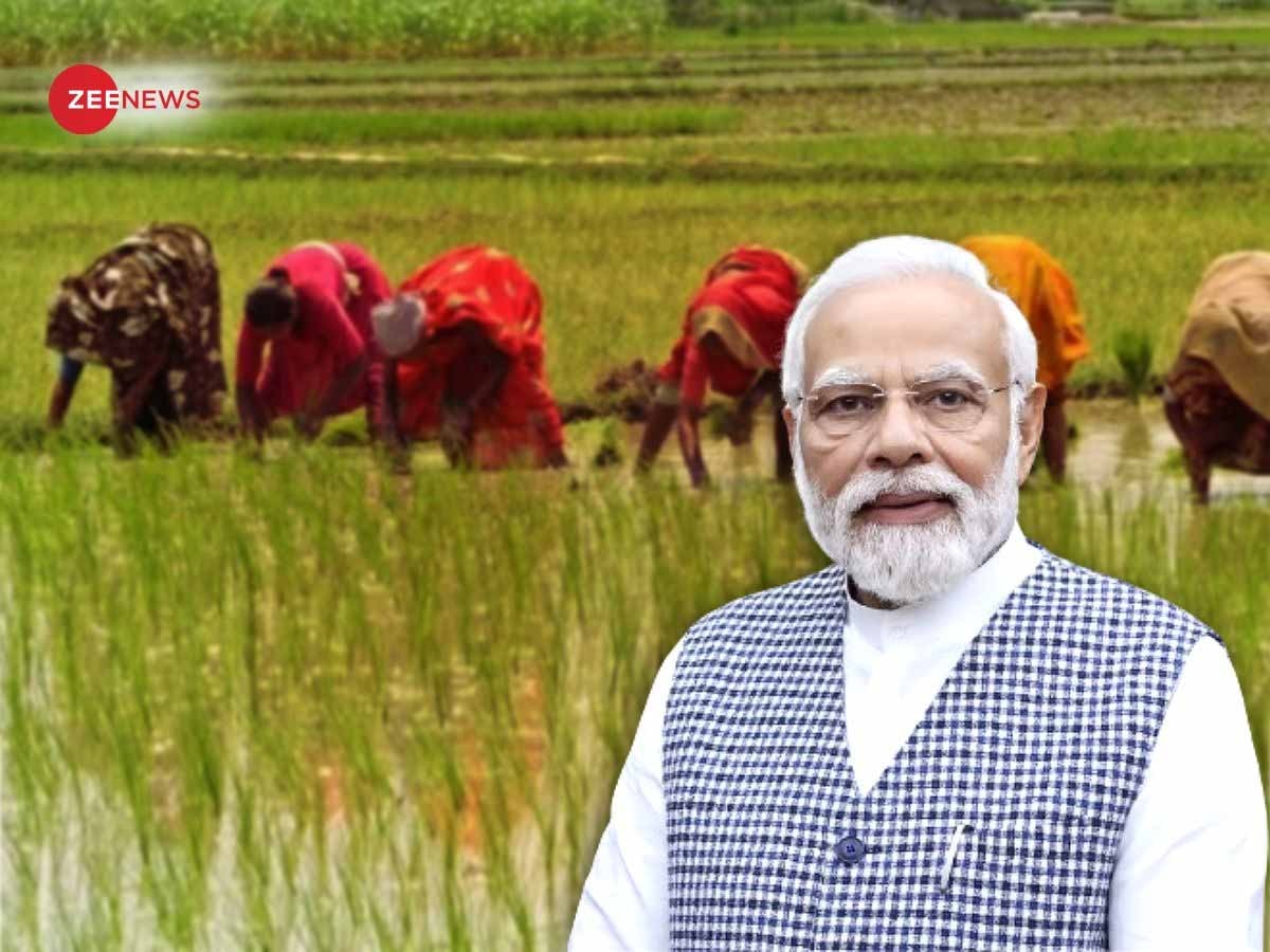 PM Kisan: करोड़ों क‍िसानों का इंतजार होगा पूरा, कल खाते में आएंगे 2000 रुपये; कैसे करें चेक?