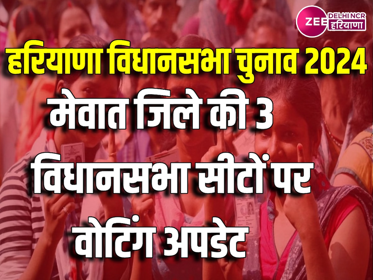 Mewat assembly Election 2024: दोपहर 1 बजे तक मेवात जिले में हुआ 42.64 प्रतिशत मतदान 