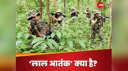 'लाल आतंक' के गढ़ में सबसे बड़ी स्ट्राइक, क्या है अमित शाह का मास्टर प्लान '2026'?