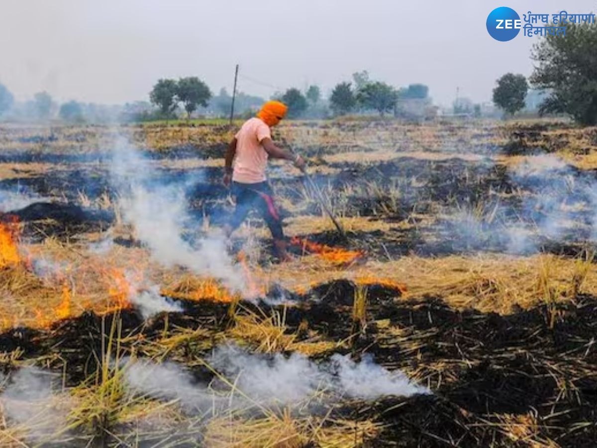 Punjab Stubble Burning Case​: ਪੰਜਾਬ ਵਿੱਚ ਪਿਛਲੇ ਸਾਲ ਦੇ ਮੁਕਾਬਲੇ ਇਸ ਸਾਲ 72% ਘੱਟ ਪਰਾਲੀ ਸਾੜੀ- PPCB